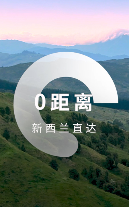 304永利集团唯一